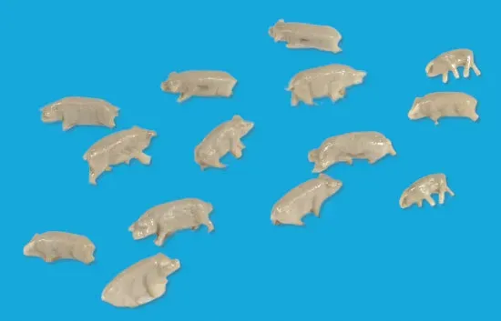 Modelscene 5176 prasata N 14 ks
